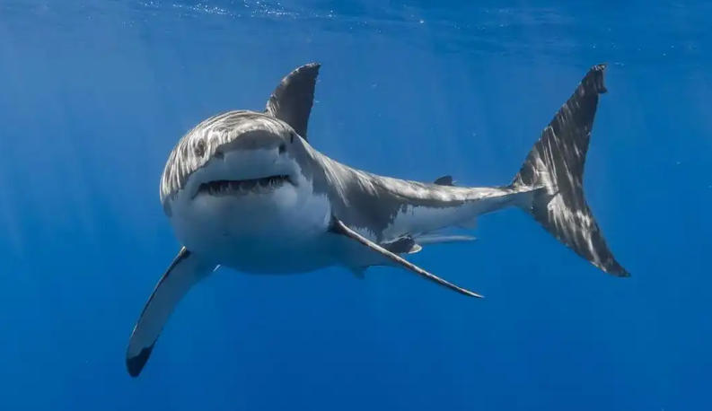 婺源信息港有限公司轮播图2